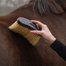 QHP Grooming sæt ROYAL - Naturbørster i æske /Sort - Strigle med lange børster, til hestens krop, giver den sidste finish